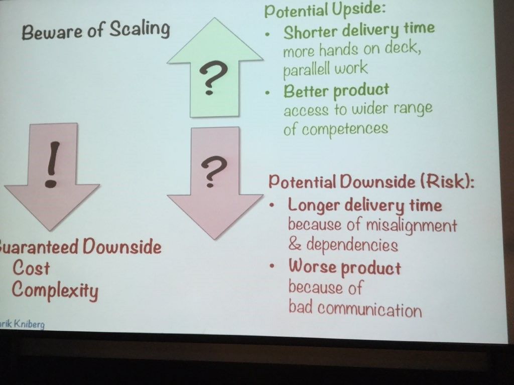 Risks of Scaling Agile